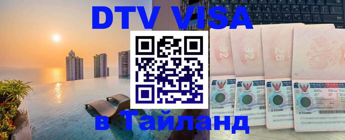 Сколько стоит DTV виза — актуальные цены, оформление даже без документов - Пенза 